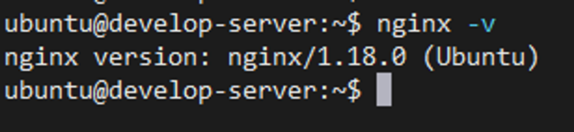 Nginx 버전 확인