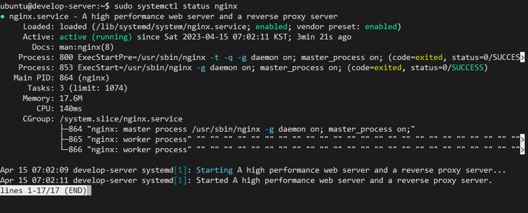 Nginx 실행 상태 확인 화면